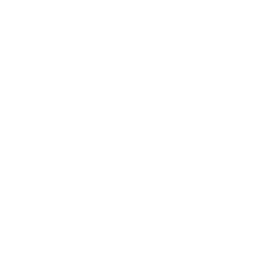 Tim Fransen Spotify